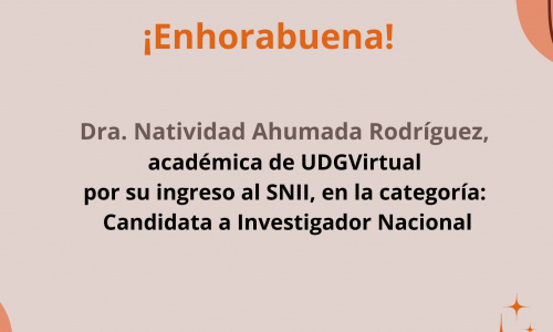 Ingreso al Sistema Nacional de Investigadores e Investigadoras SNII.